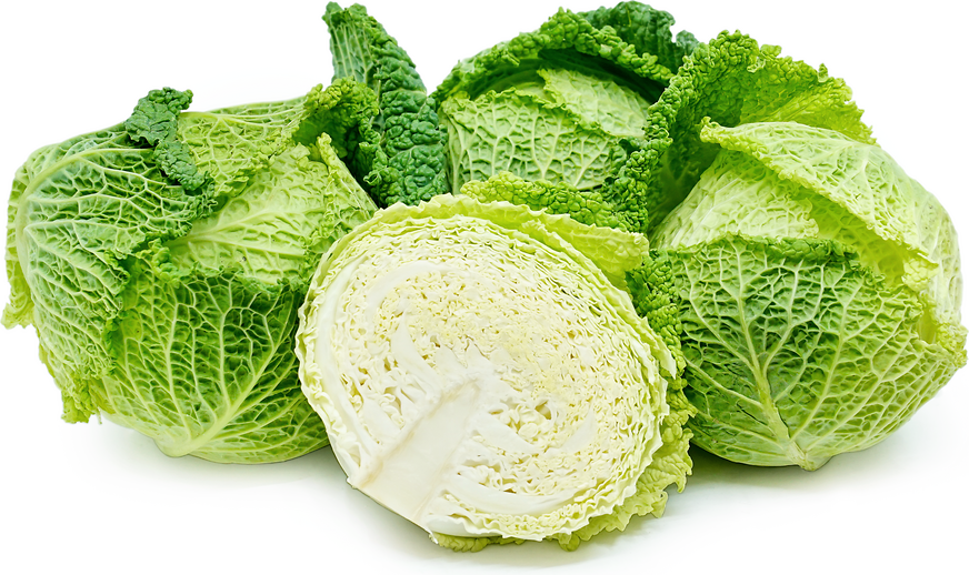 Savoy Cabbage picture