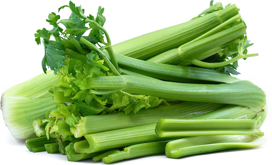 Celery picture