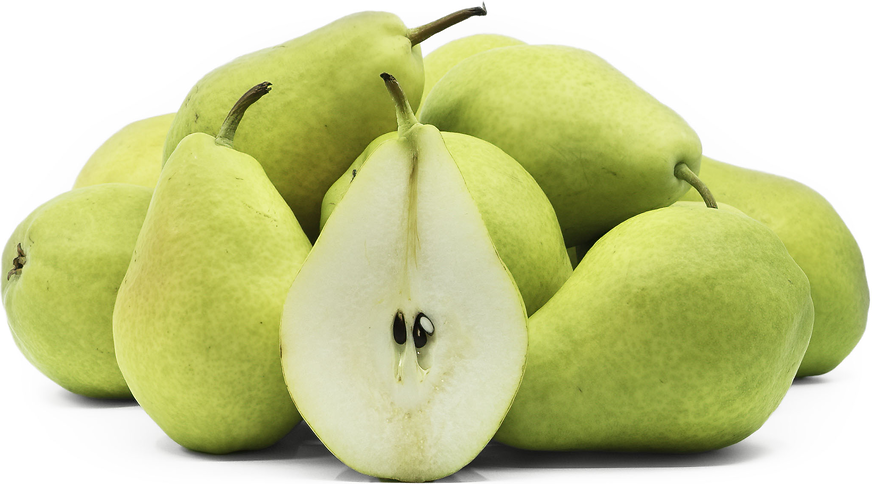 What is a Yali pear?