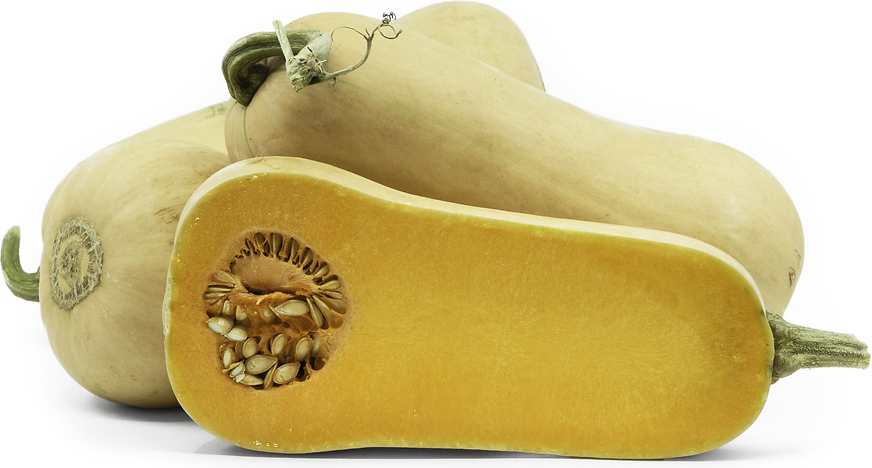 What is the nutritional value of butternut squash?