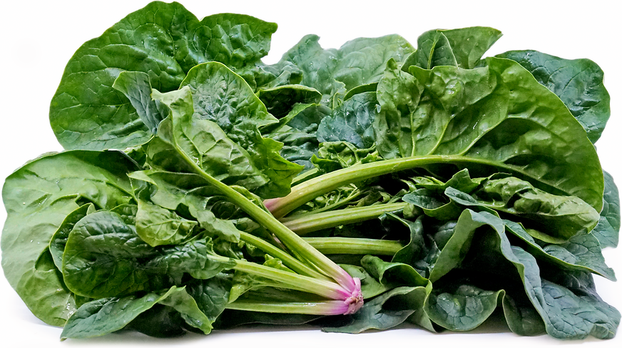 Bloomsdale Spinach picture