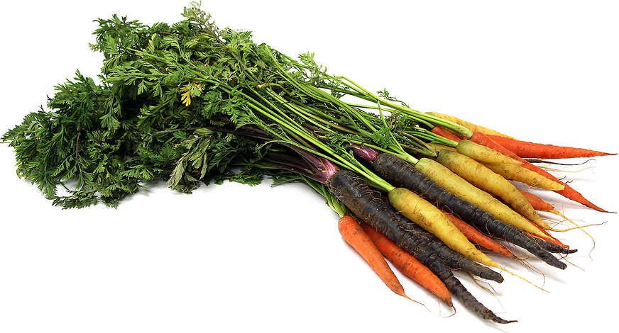 Carrots Bunch Rainbow picture