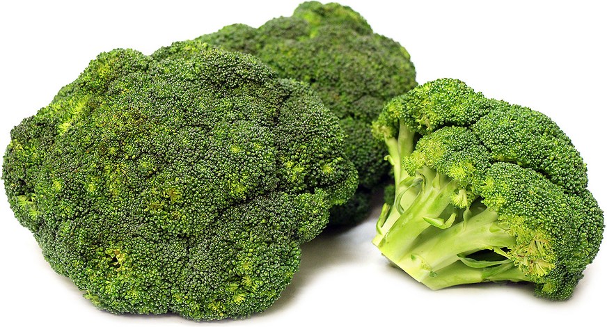 Broccoli picture