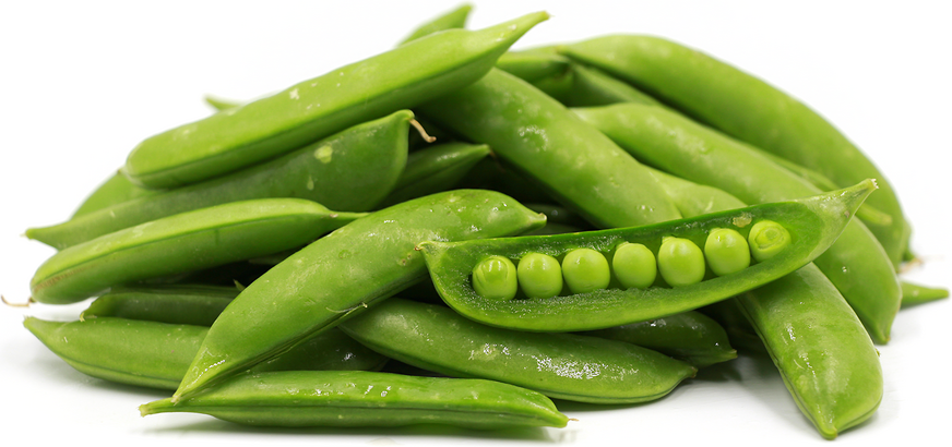 Sugar Snap Pea picture