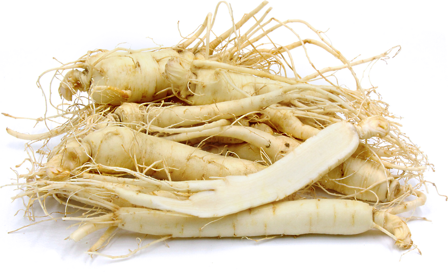 Ginseng Root picture