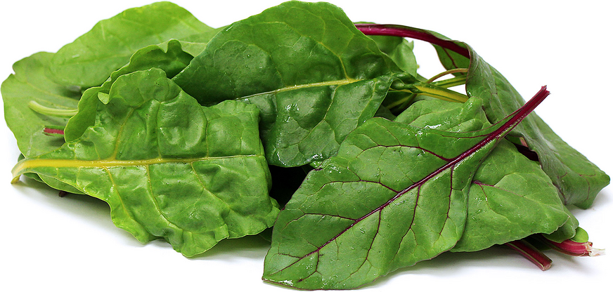 Baby Rainbow Swiss Chard picture