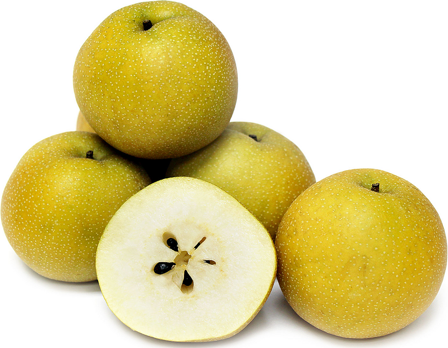 Shinko Asian Pears picture