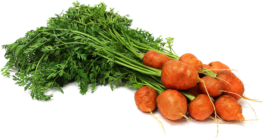 Round Carrots picture