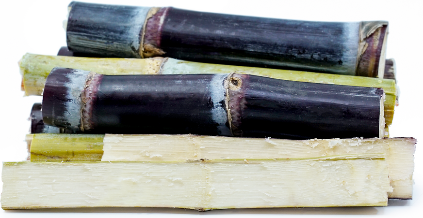 Purple Sugar Cane picture