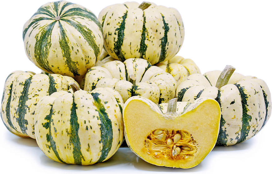 Dumpling Squash picture