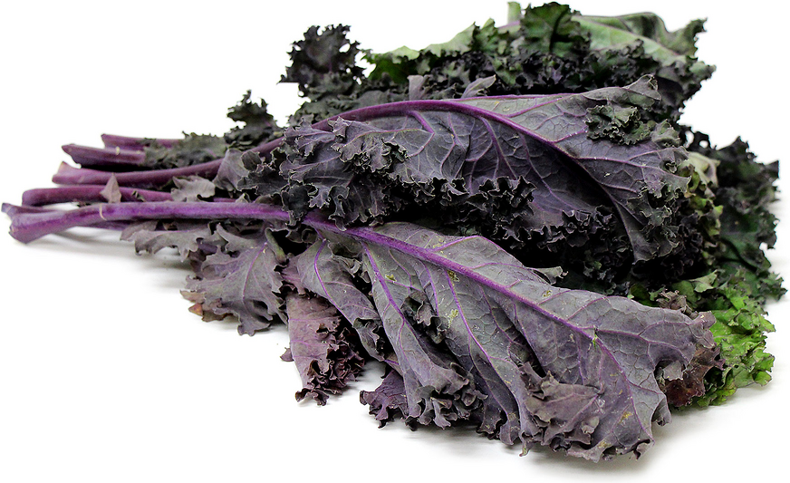 Red Russian Kale picture