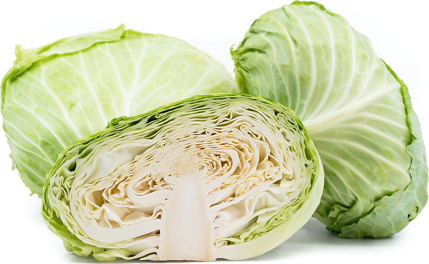 Taiwanese Flat Cabbage picture
