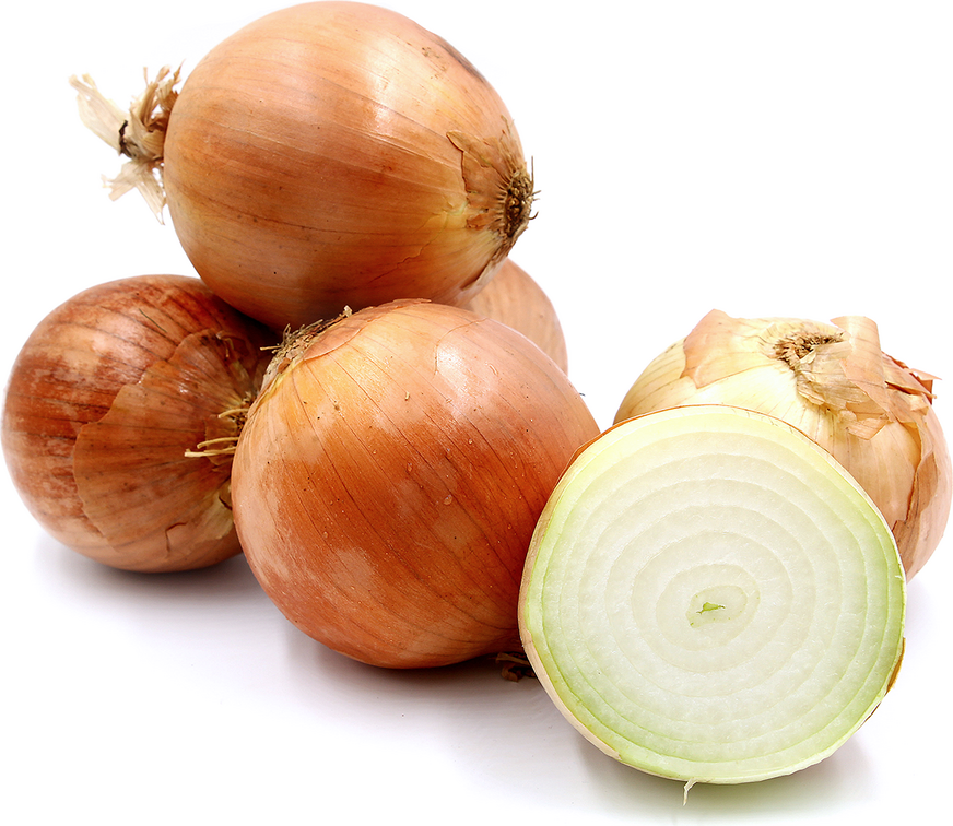 Sweet Yellow Onions picture