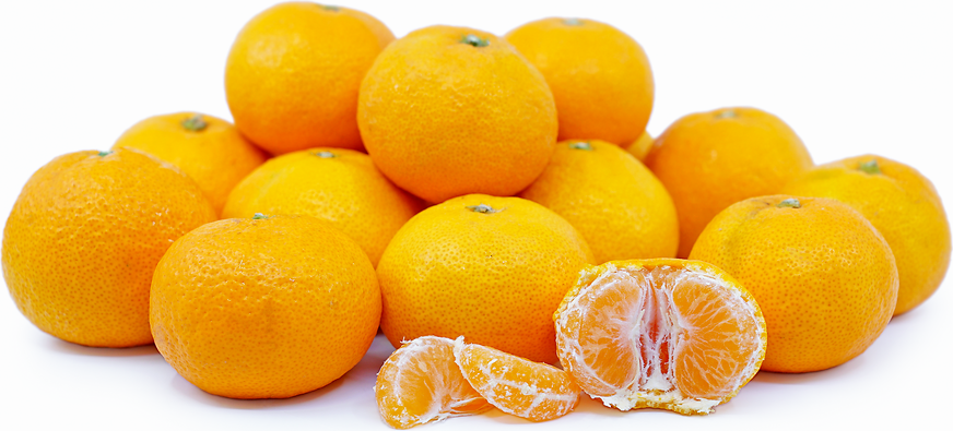 Satsuma Tangerines picture