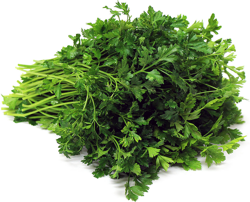 Italian Parsley picture