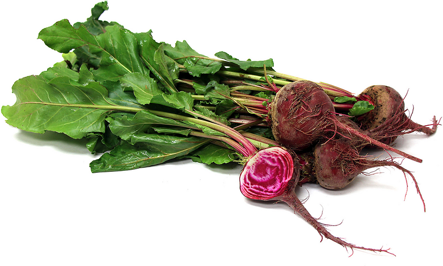 Chiogga Bunch Beets picture