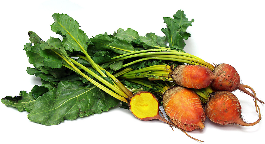 Organic Root Beets Gold Bunch picture