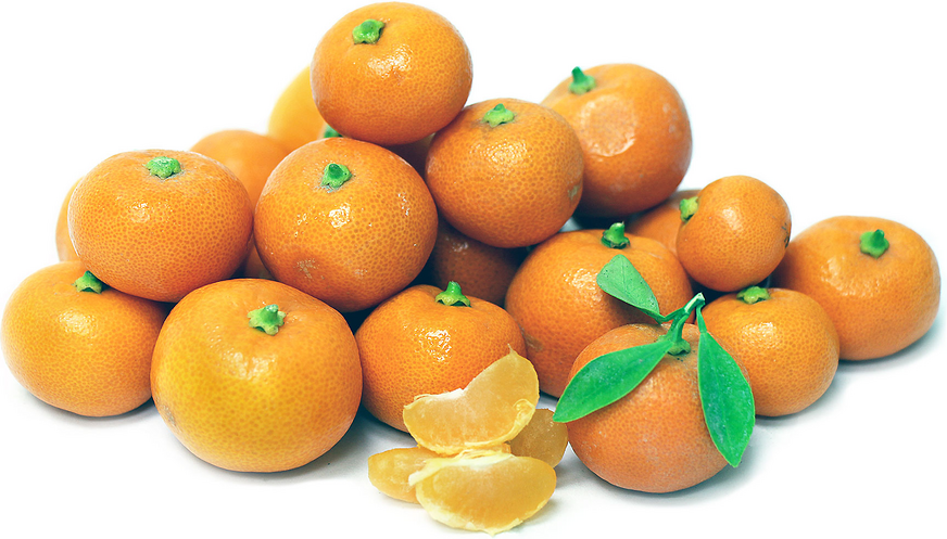 Calamondin Oranges picture