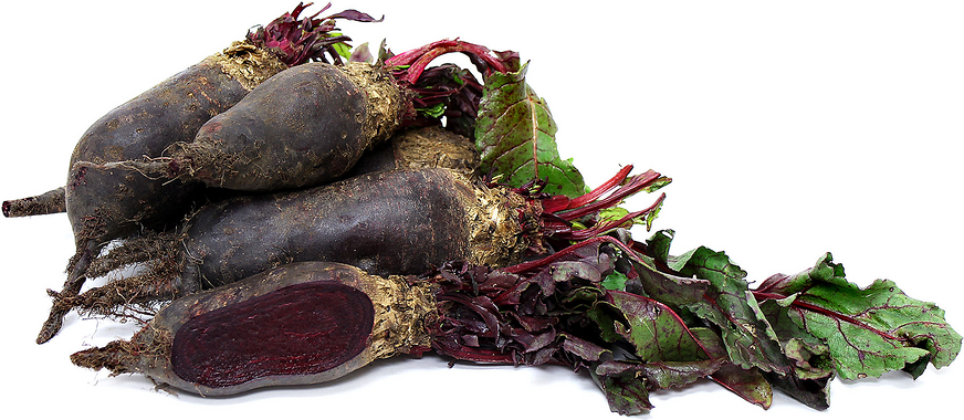 Red Forno Beets picture