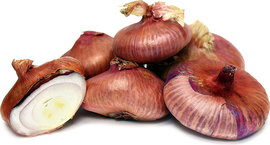 Red Cipollini Onions picture