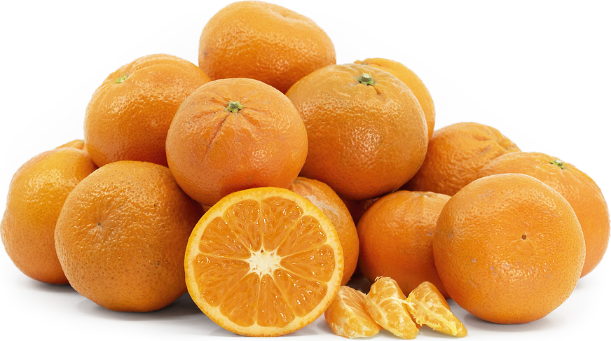 Tango Tangerines picture