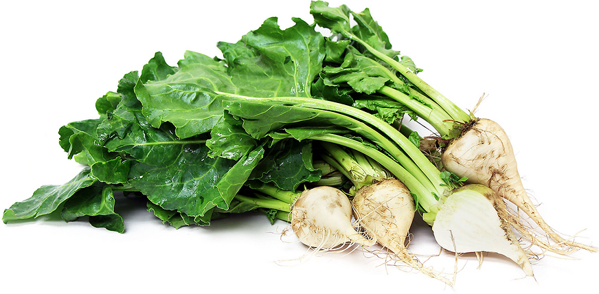 White Beets picture