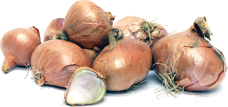 Shallots picture
