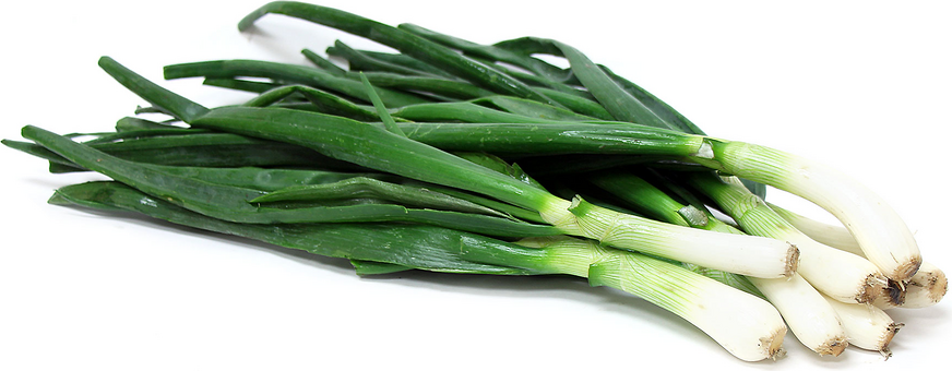 Calcots Spring Onions picture