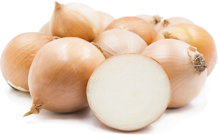 Sweet Yellow Onions picture