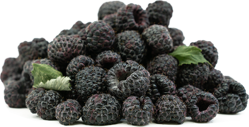 Black Raspberries picture