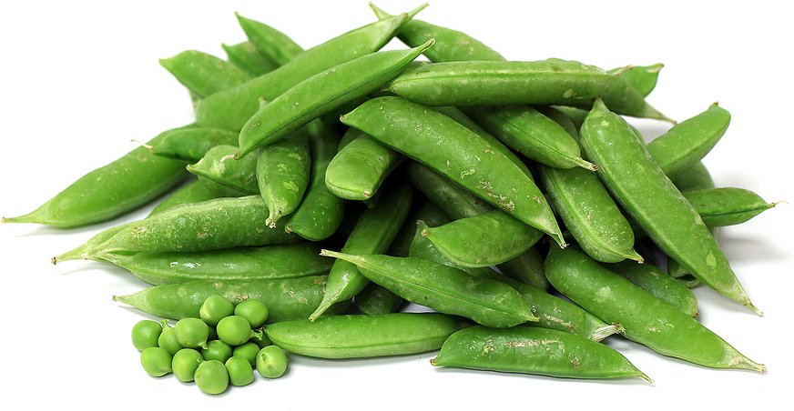 English Pea picture