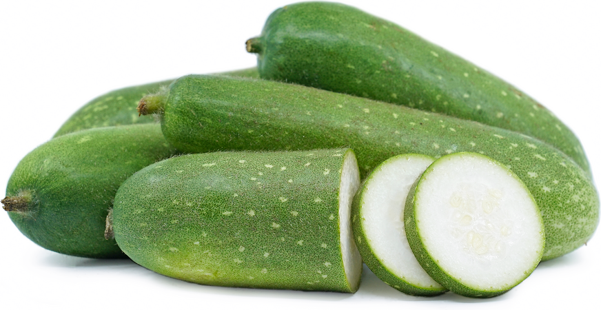 Bottle Gourd picture