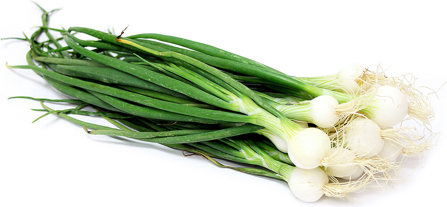 Pearl Onions picture