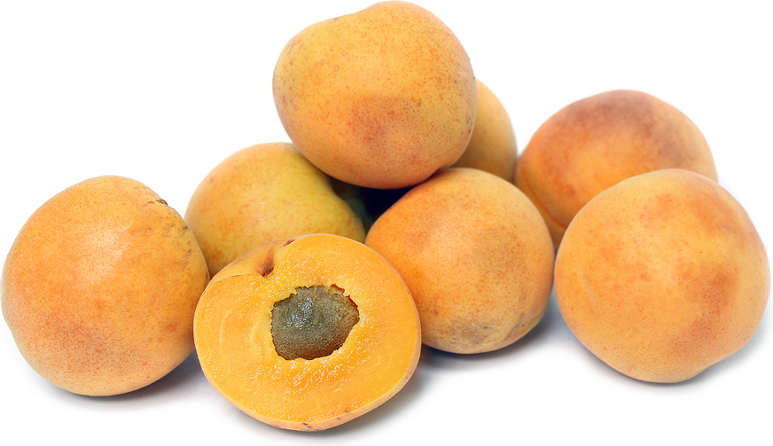 Moorpark Apricots picture
