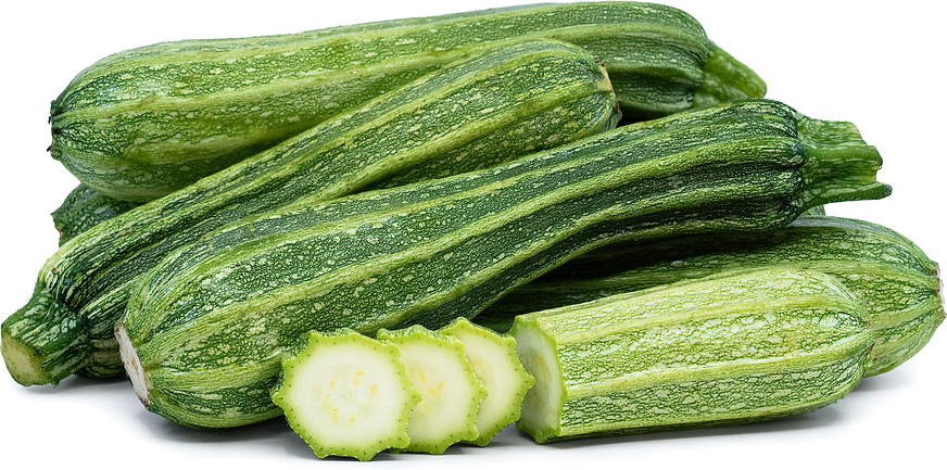 Romanesco Costata Squash picture