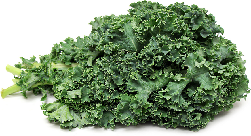 Green Kale picture