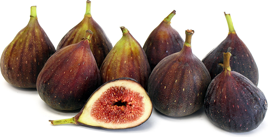 Brown Turkey Figs picture