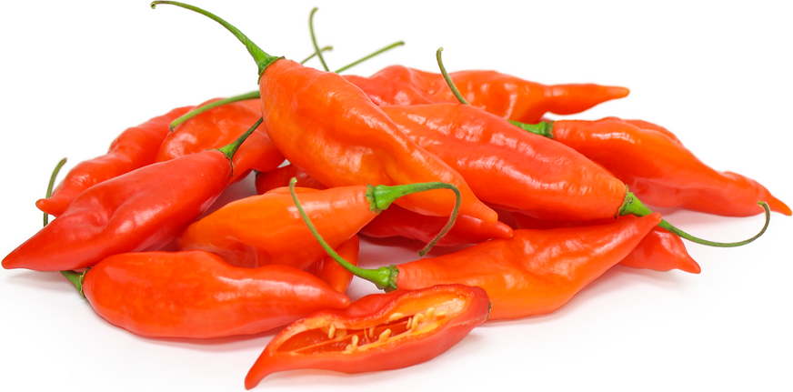 Hot Paper Lantern Chile Peppers picture