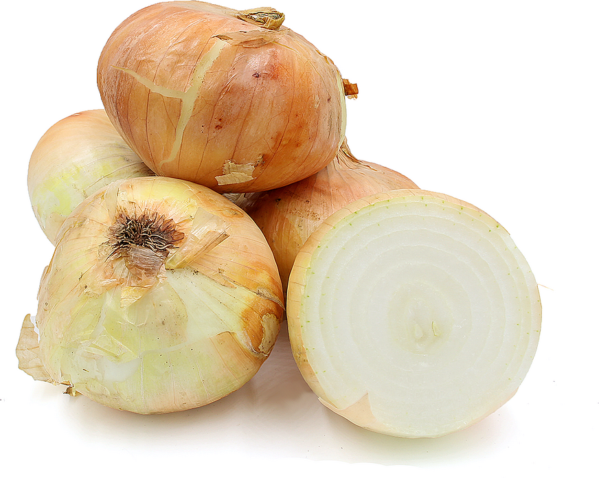 Yellow Onions picture
