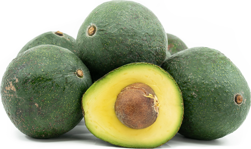 Nabal Avocados Information and Facts