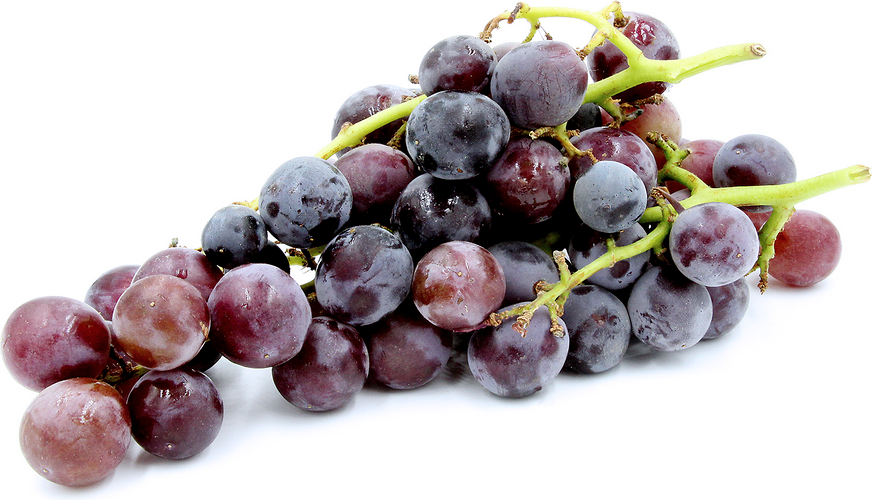 Concord Grapes Information and Facts