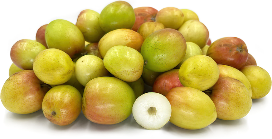 Ber (Indian Jujube) picture