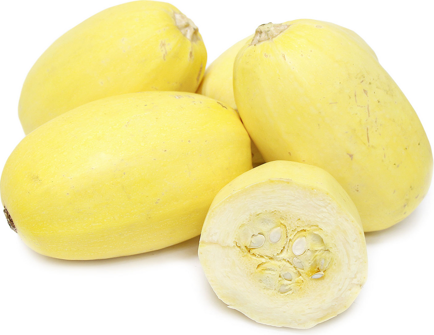 Spaghetti Squash picture