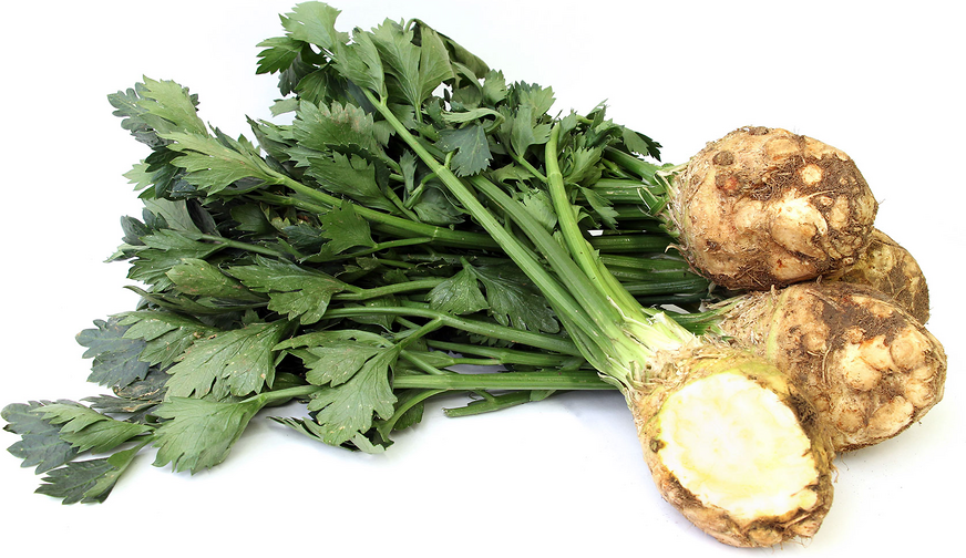 Celery Root picture