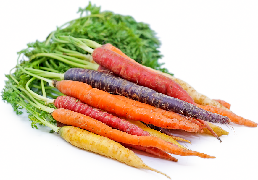 Rainbow Bunch Carrots picture