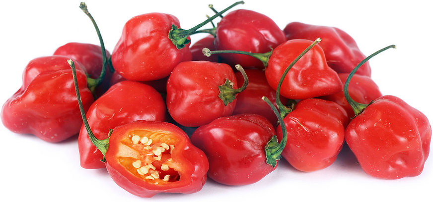 Red Habanero Chile Peppers picture