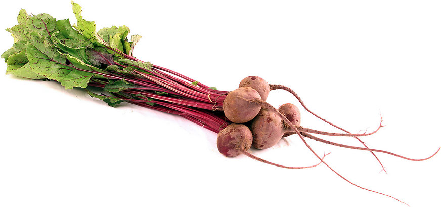 Red Bunch Beets picture