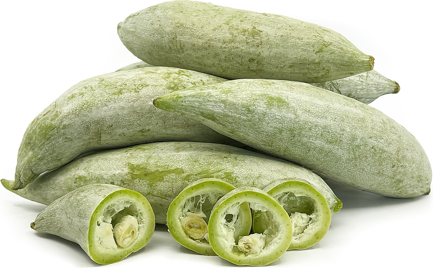 Snake Gourd picture