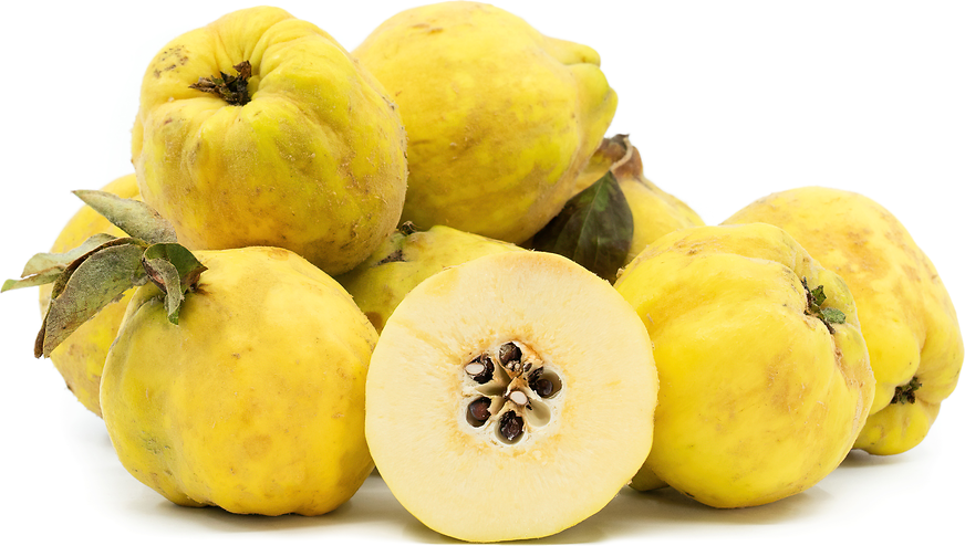 Aromatnaya Quince picture