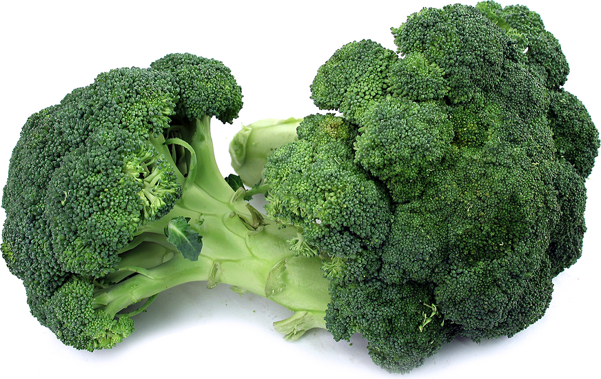 Broccoli picture